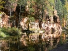 PICTURES/Sedona West Fork Fall Foliage/t_Trees Reflection In Water.JPG